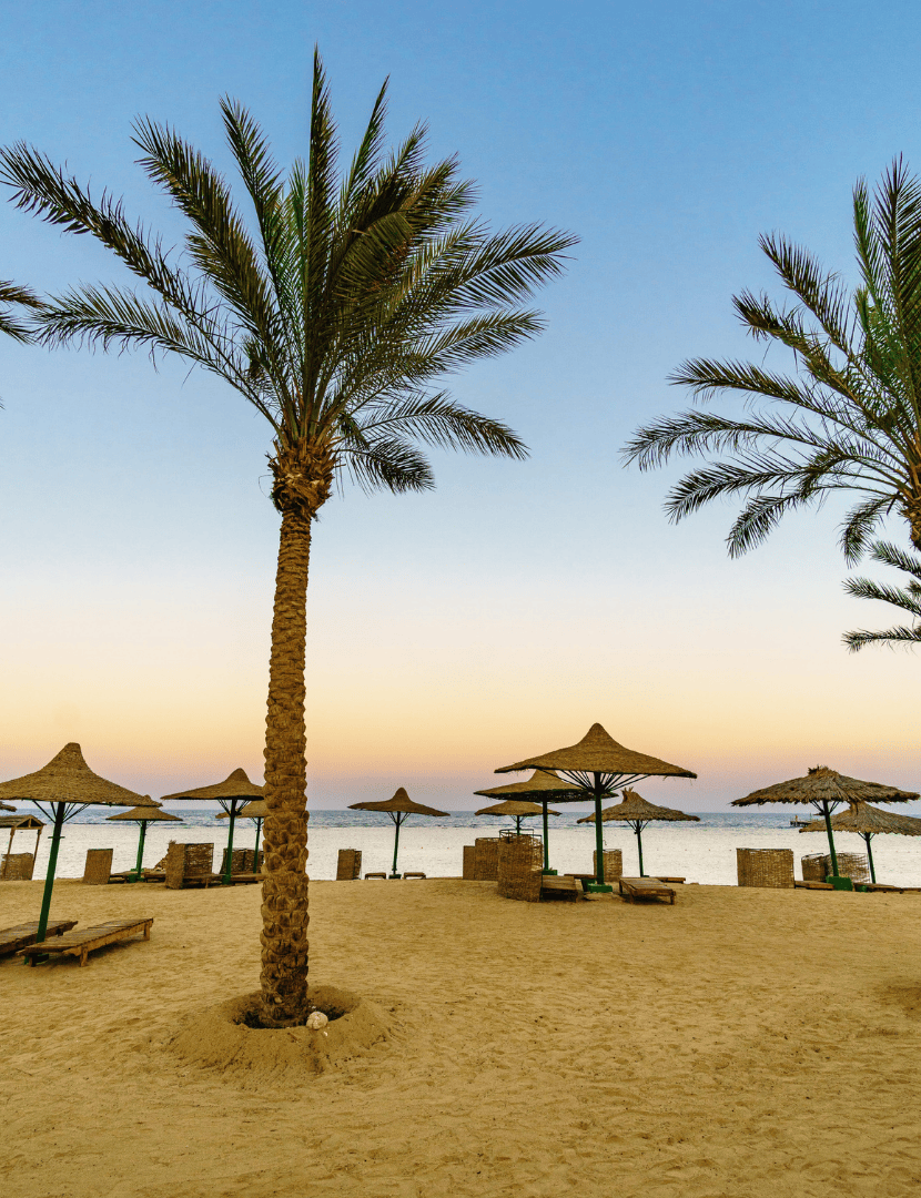 Egipat-Sharm El Sheikh